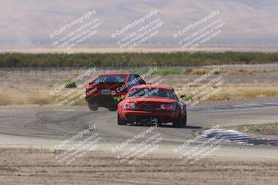 media/Oct-04-2025-OnGrid (Sat) [[44bd565ffa]]/Yellow Group/Grapevine/